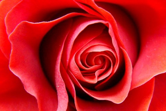 Rouge / ç»åä¸è¦§ musichubz Rouge